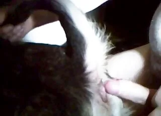 Horny Monster Engages in Intense Anal Sex with a Zoophile