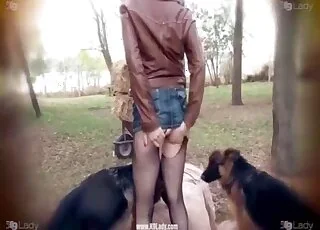 Beautiful Shepherd Penetrated by Hungry Stallion