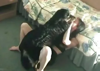 Stunning girl playing with her cute pet dog in HD