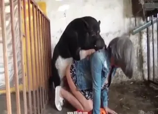 Perfect romance wet girl pig sex: cute girl having animal sex with a pig in the barn, natural zoo porn