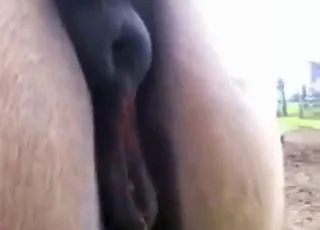 Mare Gets Deep Fingering With Cumshot Compilation