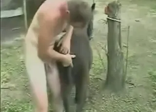 Good-looking guy gets deepthroat fucked by mare