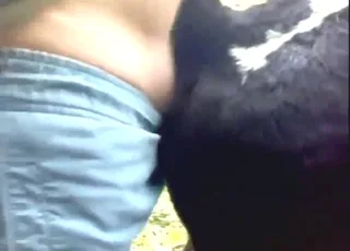 Uncensored Cow Fuck Outside - Hot Zoo Porn
