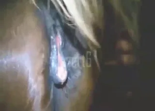 Super Sexy True Scene With A Horny Mare Fisting