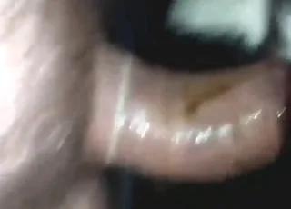 Dude Dominates Male Calf Anus in Hot Zoo Porn Scene