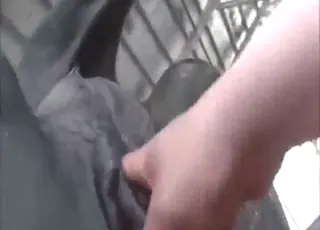 Hot Cow Fisting Session With Sexy Creature Zooporn