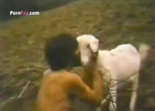 Guy gets busy with his pet goat in this retro zoo sex scene