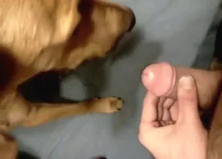 Slutty animal gets a fresh creampie shot