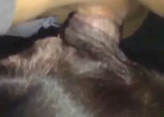 Black Woman Enjoyed by a Large Beast in Slow Motion
