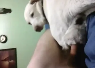 Sexy white dog gets casual sideways fuck in zoo porn scene
