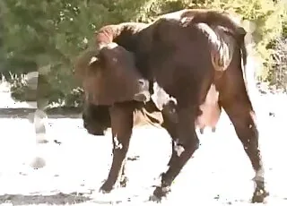 Kinky Cowboy Wants to Fuck Animals - Zoo Porn with Wild Creatures