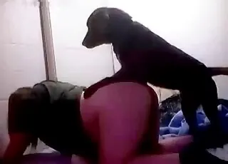 Black animal humps wet cunt from behind - Zoo Porn